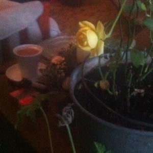 Meet your Posher, Marsha